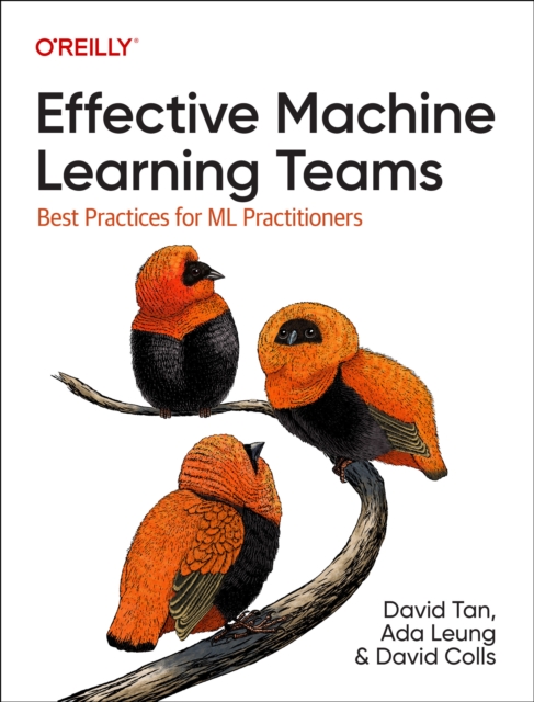 Effective Machine Learning Teams: Best Practices for ML Practitioners - David Tan