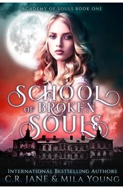 Coperta cărții 'School of Broken Souls: Academy of Souls Book 1 - Mila Young'