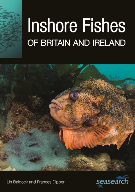 Inshore Fishes of Britain and Ireland - Lin Baldock