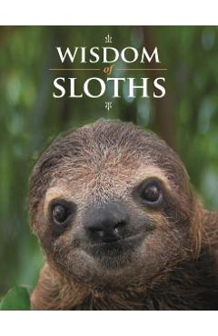 Wisdom of Sloths - Lisa Purcell