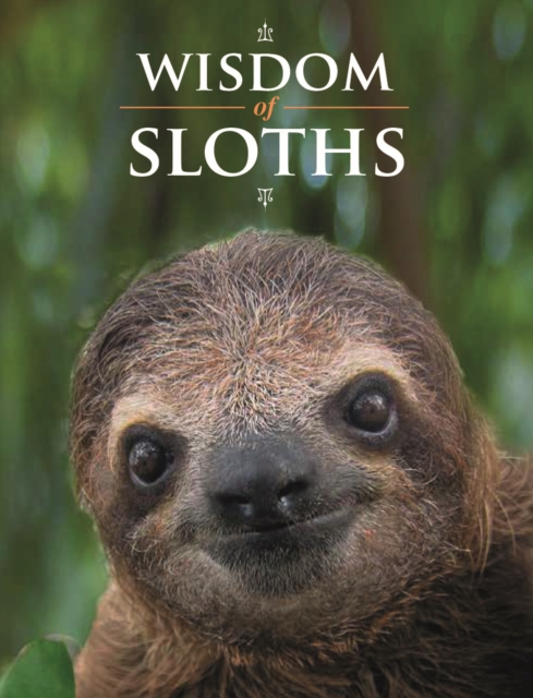 Wisdom of Sloths - Lisa Purcell