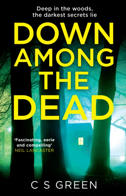 Down Among the Dead: A Rose Gifford Book - C. S. Green