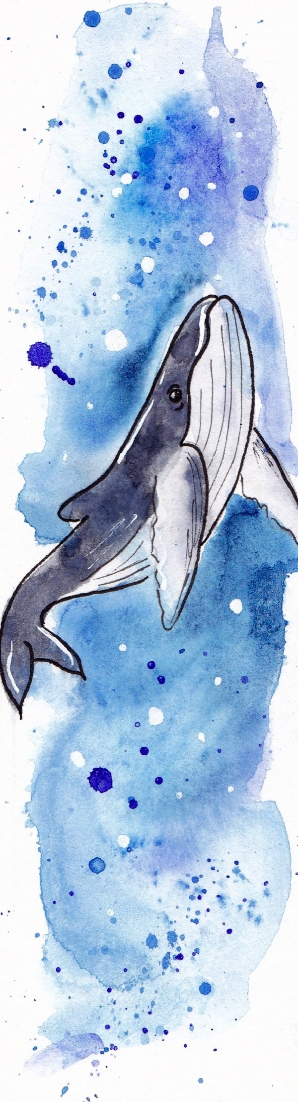 Semn de carte: Balena
