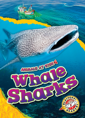 Whale Sharks - Rachel Grack