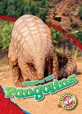 Pangolins - Rachel Grack