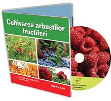 CD Cultivarea arbustilor fructiferi