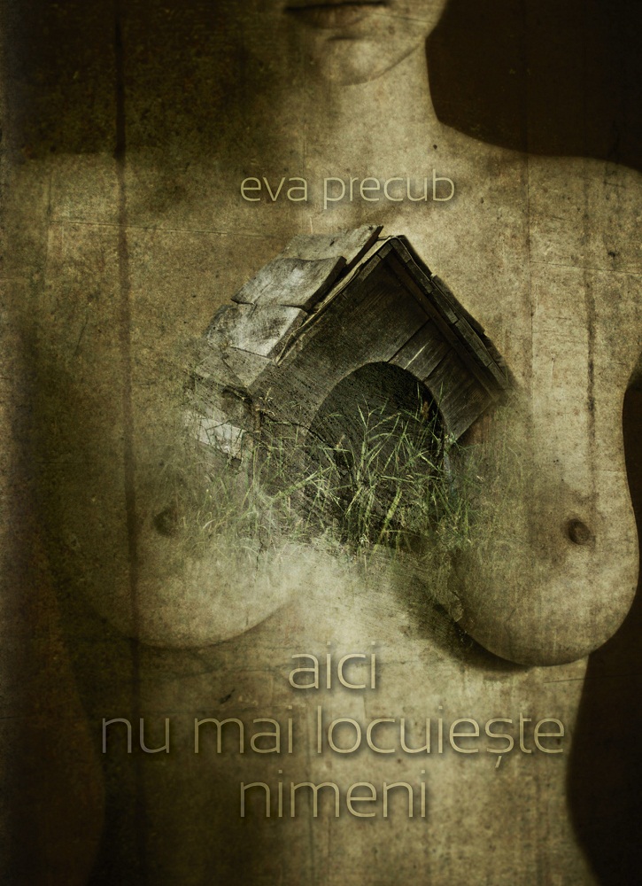 Coperta cărții 'Aici nu mai locuieste nimeni - Eva Precub'
