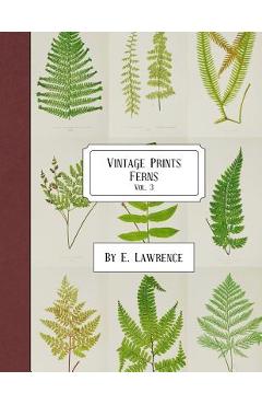 Coperta cărții 'Vintage Prints: Ferns: Vol. 3 - E. Lawrence'