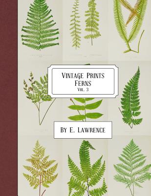 Coperta cărții 'Vintage Prints: Ferns: Vol. 3 - E. Lawrence'