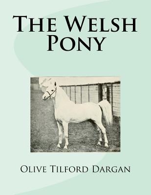 The Welsh Pony - Jackson Chambers