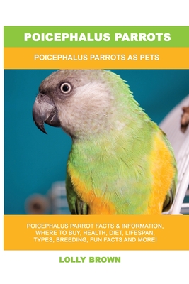 Poicephalus Parrots: Poicephalus Parrots As Pets - Lolly Brown