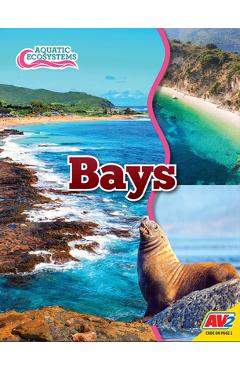 Coperta cărții 'Bays - John Willis'