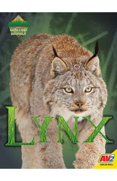 Coperta cărții 'Lynx - Blaine Wiseman'