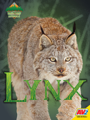 Coperta cărții 'Lynx - Blaine Wiseman'