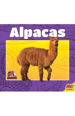 Coperta cărții 'Alpacas - Lydia Lukidis'