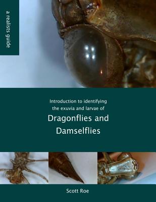 Introduction to identifying the exuvia and larvae of Dragonflies - Scott Nicholas Roe