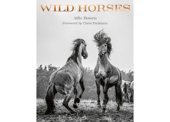 Wild Horses - Alfie Bowen
