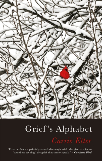 Grief's Alphabet - Carrie Etter