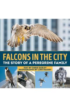 Coperta cărții 'Falcons in the City: The Story of a Peregine Family - Chris Earley'