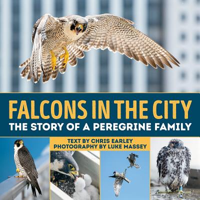 Coperta cărții 'Falcons in the City: The Story of a Peregine Family - Chris Earley'