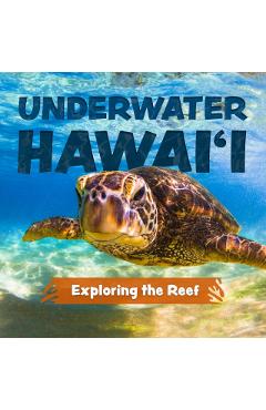 Underwater Hawai'i: Exploring the Reef: A Children's Picture Book about Hawai'i - Keith Riegert