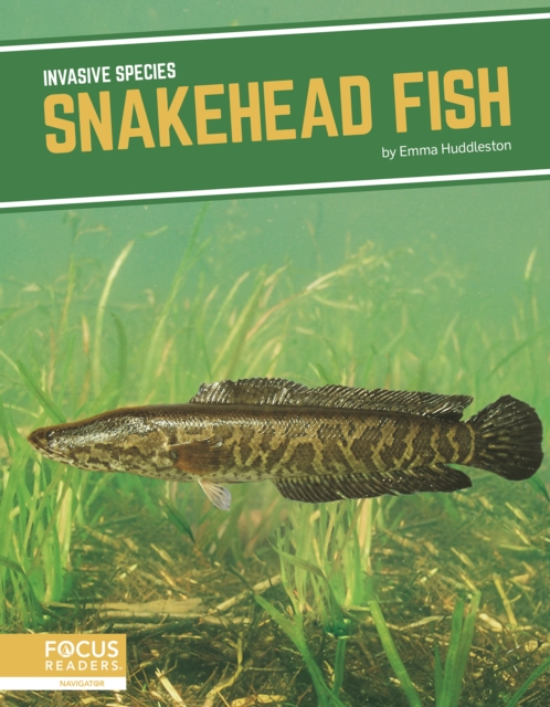 Snakehead Fish - Emma Huddleston