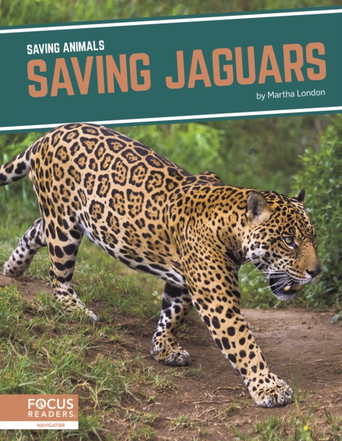 Saving Jaguars - Martha London