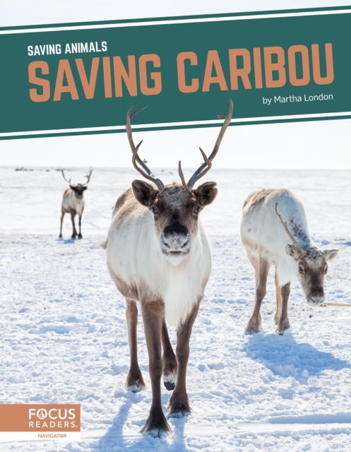 Saving Caribou - Martha London