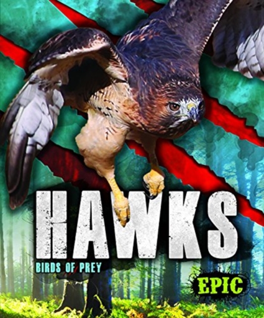 Hawks: Birds of Prey - Nathan Sommer