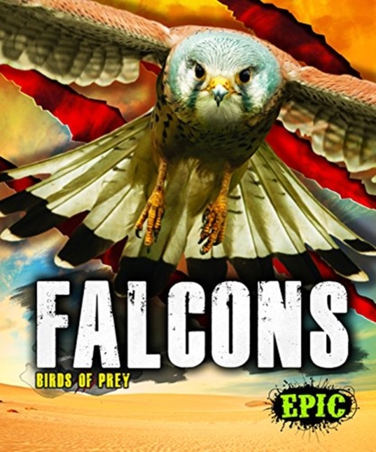 Falcons - Nathan Sommer