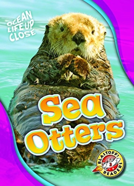 Sea Otters - Nathan Sommer