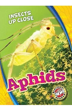 Poza produsului Aphids - Patrick Perish