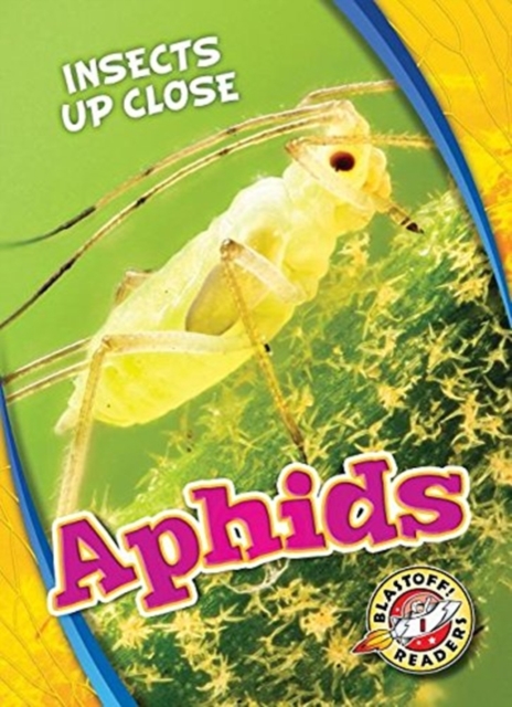 Aphids - Patrick Perish