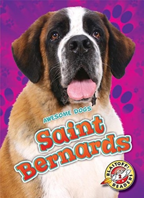 Saint Bernards - Nathan Sommer