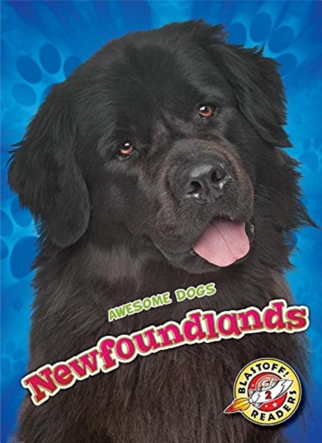 Newfoundlands - Nathan Sommer