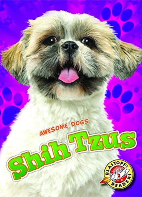 Shih Tzus - Kari Schuetz