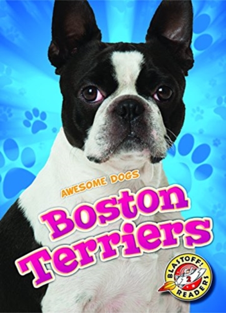 Boston Terriers - Christina Leaf