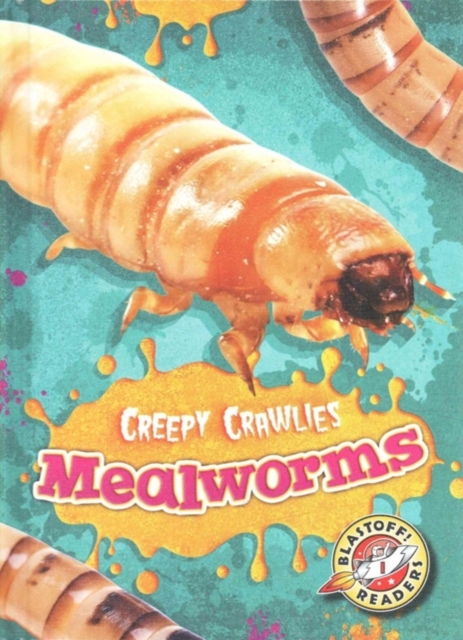 Mealworms - Kari Schuetz