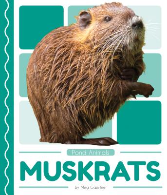 Coperta cărții 'Muskrats - Meg Gaertner'
