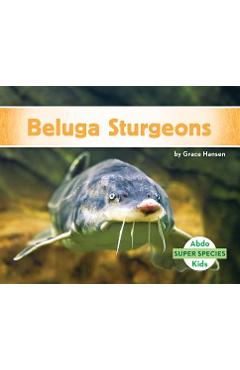 Coperta cărții 'Beluga Sturgeons - Grace Hansen'