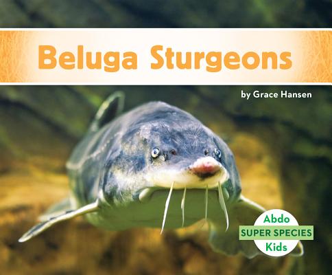 Coperta cărții 'Beluga Sturgeons - Grace Hansen'