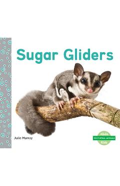 Coperta cărții 'Sugar Gliders - Julie Murray'