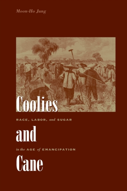 Coolies and Cane: Race, Labor, and Sugar in the Age of Emancipation - Moon-ho Jung