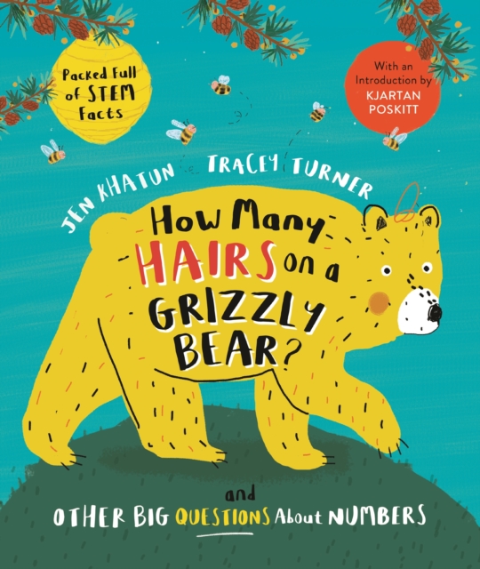 How Many Hairs on a Grizzly Bear?: And Other Big Questions about Numbers - Tracey Turner