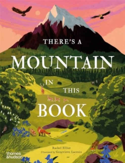 There's a Mountain in This Book - Rachel Elliot