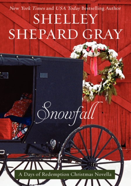 Snowfall - Shelley Shepard Gray