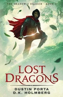 Coperta cărții 'Lost Dragons - D. K. Holmberg'