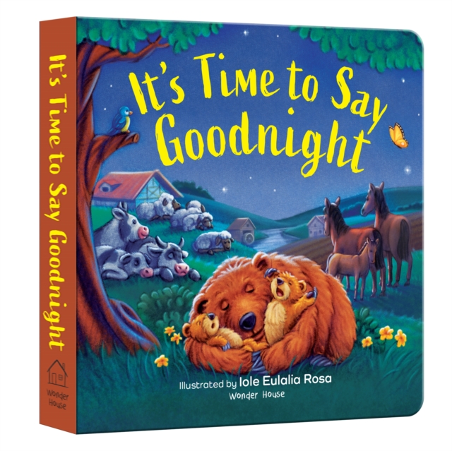 It's Time to Say Goodnight - Wonder House Books