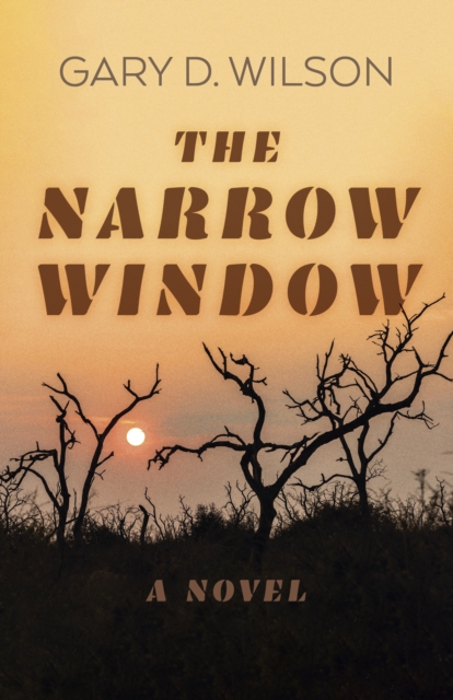 The Narrow Window - Gary D. Wilson
