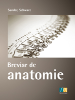 Breviar de anatomie - Sander, Schwarz